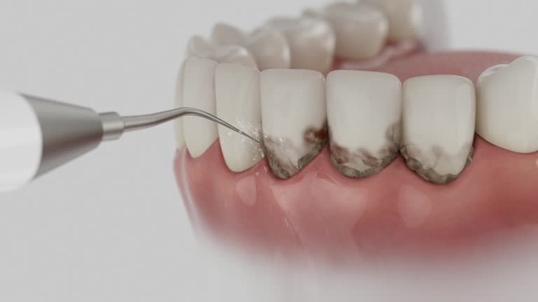 Reliable Dental contractor in Brown Station, MD by Dentist Open Now